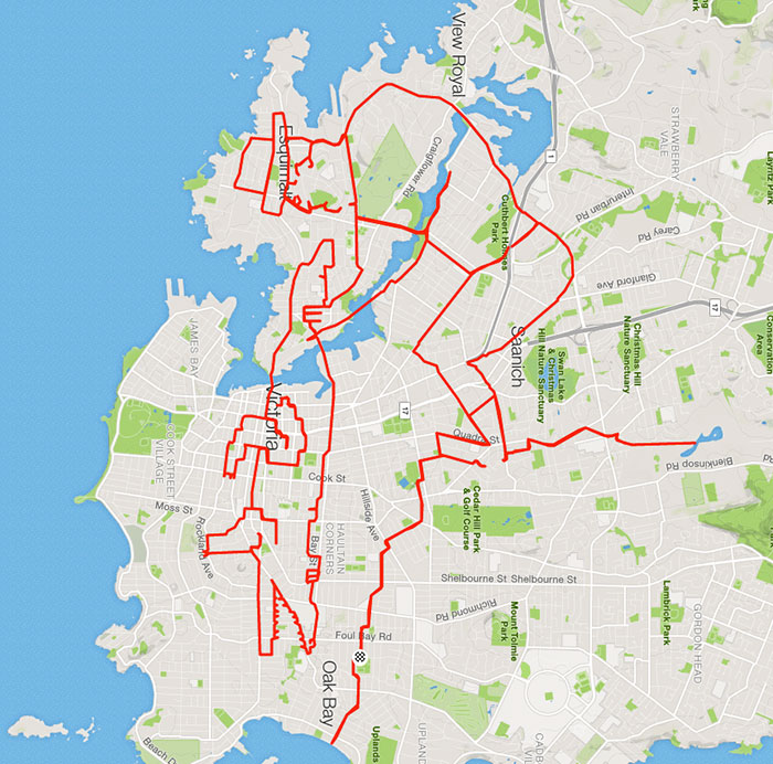 draw_bike_googlemaps_11