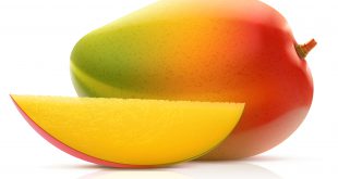 Vector illustration of mango fruit