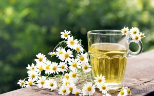 Chamomile-Tea-National-Flower-of-Russia