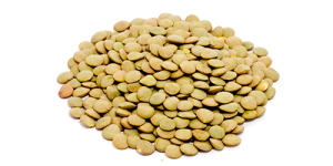 main-image-photo-laird-green-lentils