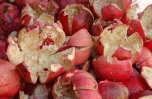 pomegranate-peel-for-treating-numerous-diseases