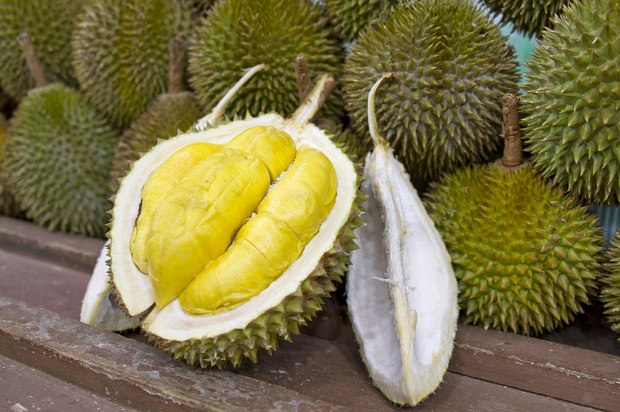 durian-4